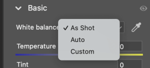 2 Quick Ways to Adjust/Correct White Balance in Photoshop