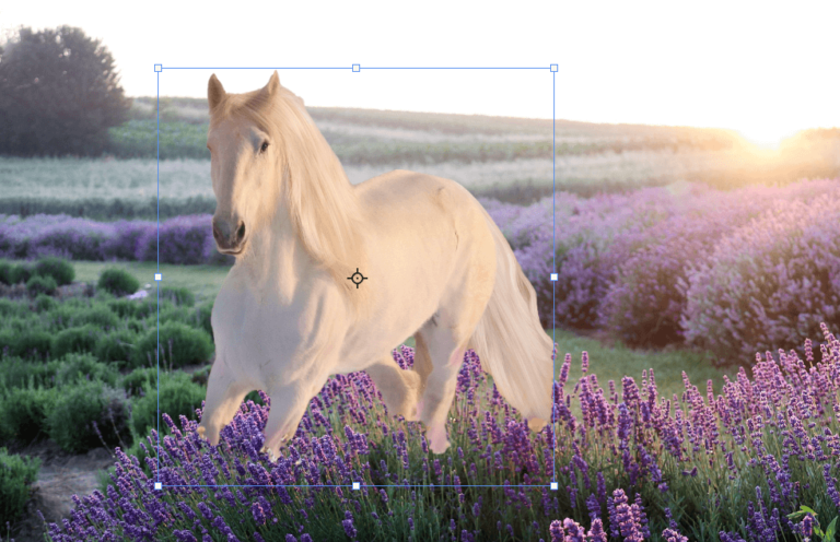 How to Create Composite Images in Photoshop (Tutorial)