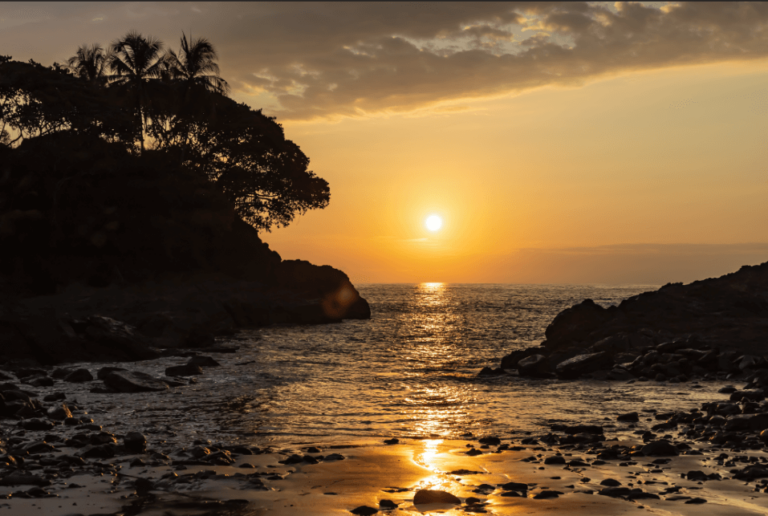 How to Use Levels in (Features Explained)