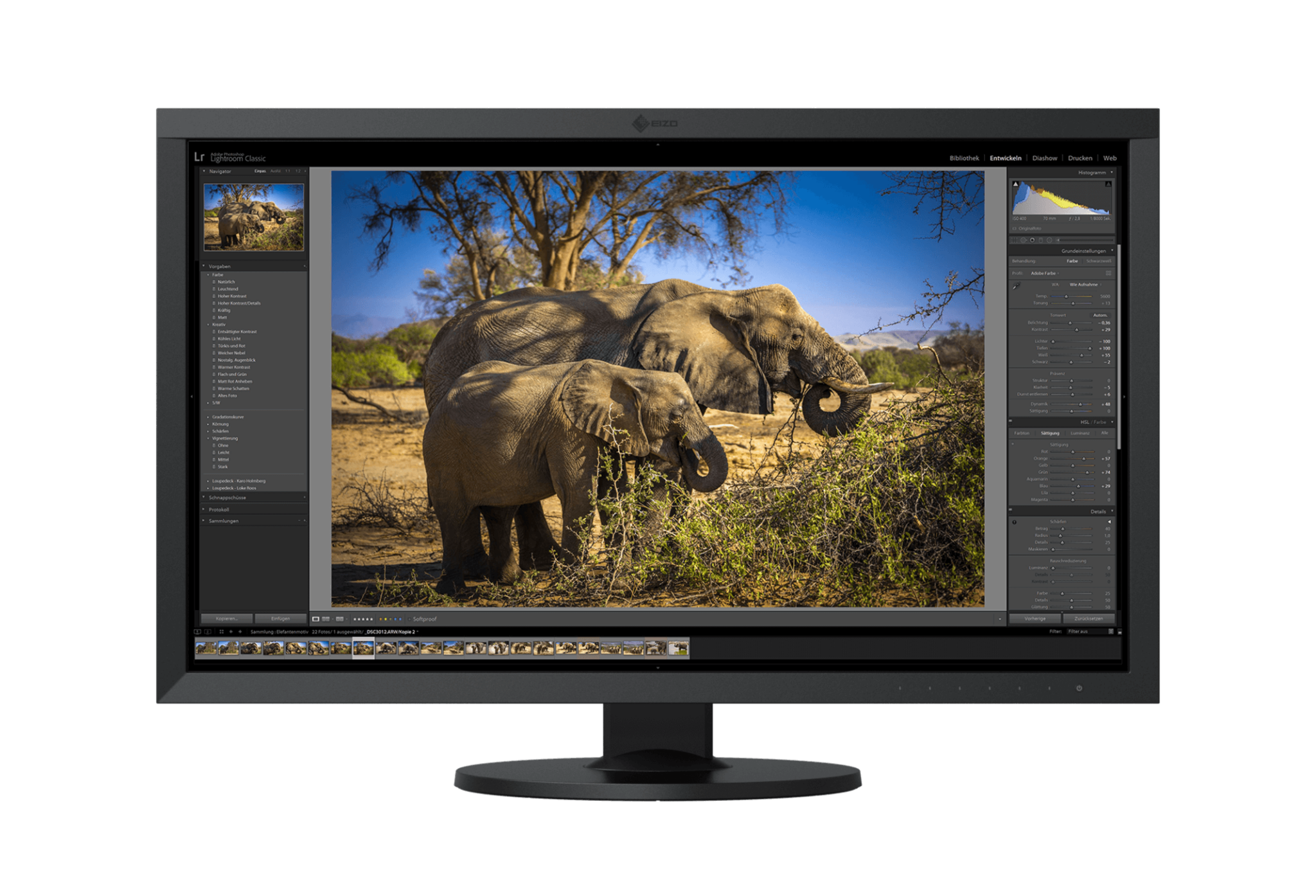 The 4 Best Monitors for Editing in 2024