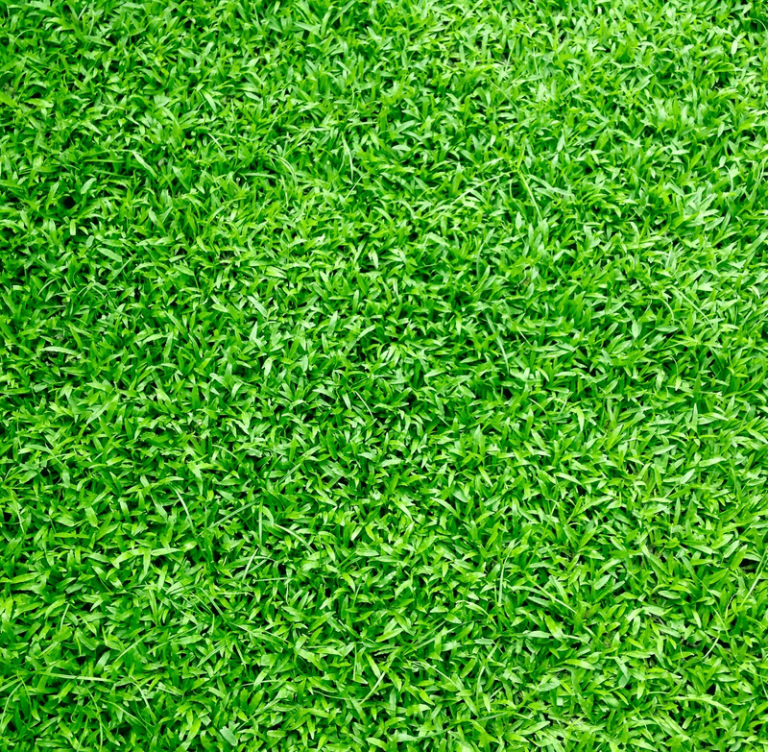7 Free Grass Repeating Background Patterns for
