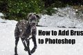 How to Add/Install Brushes to Photoshop