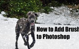 How to Add Brushes to Photoshop
