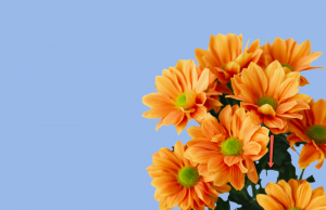 How to Change Background Color in Photoshop (5 Steps)
