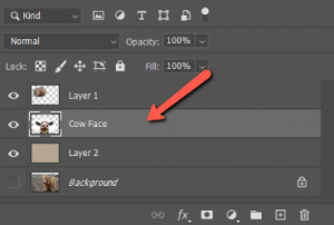 3 Quick Ways to Copy and Paste Layers in Photoshop