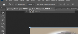 3 Quick Ways to Copy and Paste Layers in Photoshop