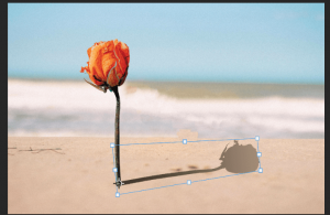 How to Create a Shadow in Photoshop (8 Easy Steps)