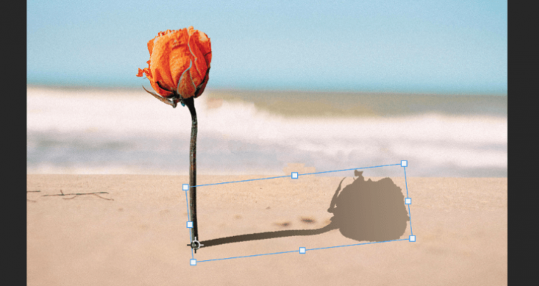 How to Create a Shadow in Photoshop (8 Easy Steps)