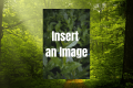 How to Insert an Image in Photoshop