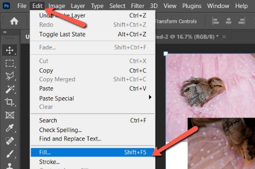 photoshop collage assignment