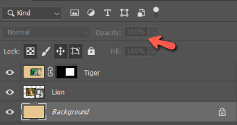 How to Make a Layer Transparent in Photoshop (Quick Tutorials)