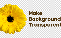 How to Make an Image Background Transparent in Photoshop