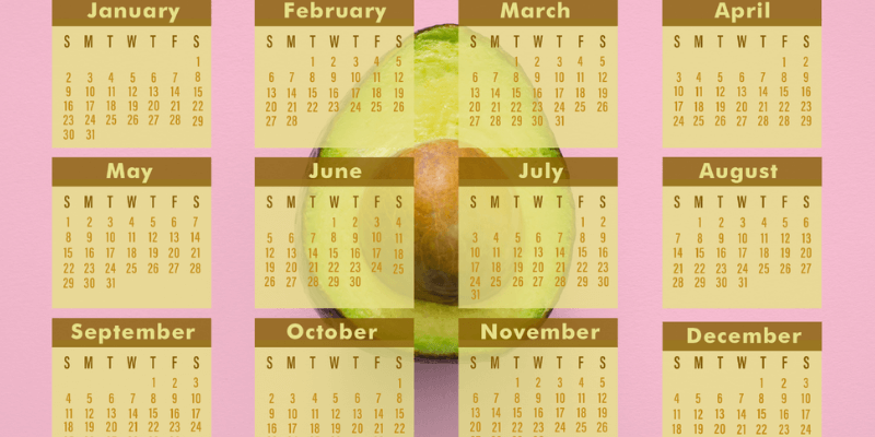 7 Steps to Design a Customized Calendar in Photoshop