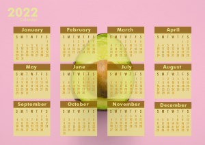 7 Steps to Design a Customized Calendar in Photoshop