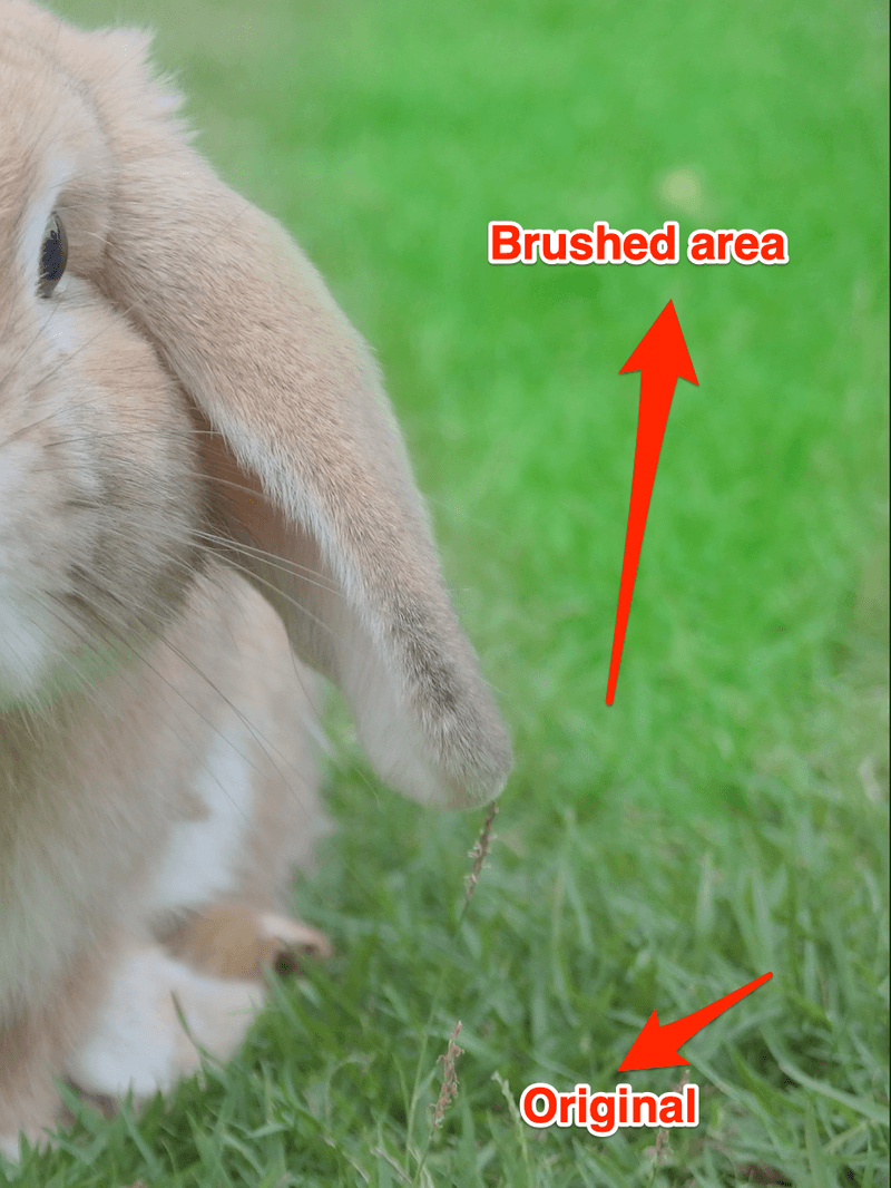 2 Quick & Easy Ways to Make Grass Greener in