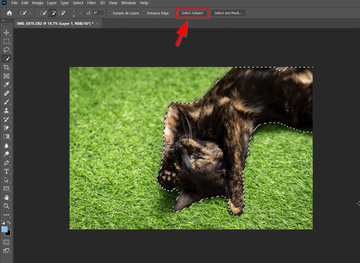 5 Ways to Remove Background of an Image in Photoshop
