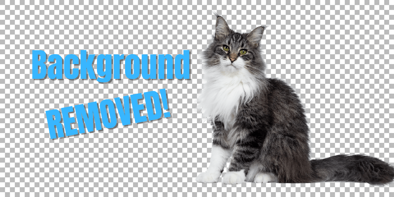 BGremover  AI Remove Background from Image Online