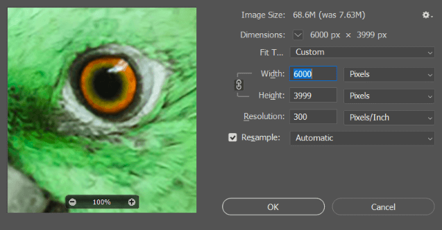 how-to-resize-an-image-in-photoshop-without-losing-quality-6.png.webp