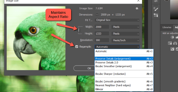 how-to-resize-an-image-in-photoshop-without-losing-quality-9.png.webp