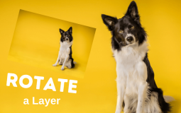How to Rotate a Layer in Photoshop