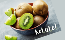 How to Rotate an Image in Photoshop
