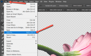 How to Save as a PNG in Photoshop (Quick Tips & Guides)