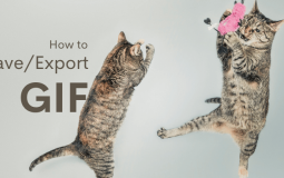 How to Save/Export a GIF in Photoshop