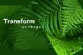 How to Transform an Image in Photoshop