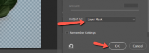 How to Use Magic Wand Tool in Photoshop (6 Steps)