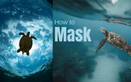 How to Use Masks in Photoshop