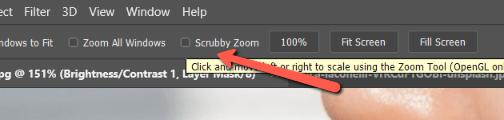 how to zoom in and out in photoshop 4
