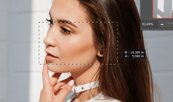 how to zoom in and out in photoshop 5