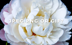 Best Image Format for the Web: JPEG vs PNG vs GIF