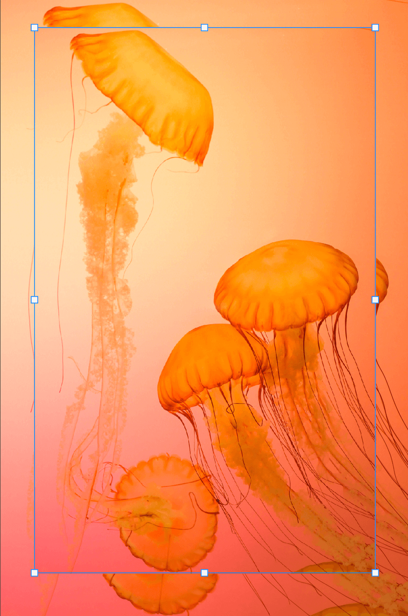 What Is Step And Repeat In Photoshop and How To Use It 